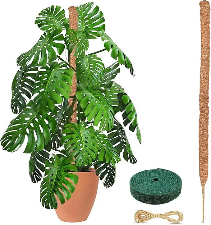 EcoNour Moss Pole for Plants – 48 inches | Monstera Plant Support for Plant Climbing and Growth | Elevate Your Indoor Garden, Plant Support for Indoor Potted Plants to Grow Upwards by GreenHaven Gardens