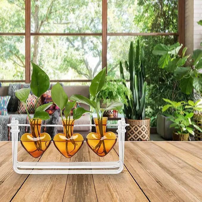 Plant Terrarium Propagation Stations with Wooden Stand Birthday Gifts for Women Plant Stand Indoor Office Home Decor by GreenHaven Gardens