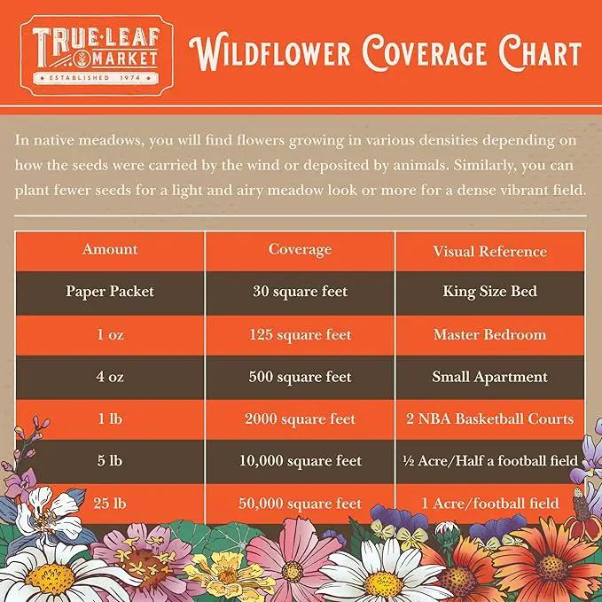 Rocky Mountain Wildflower Seeds Mix - 5 Lb Seed Pouch - 22 Wild Flower Seed Varieties - Annuals, Perennials and Bi-Annuals - Flower Garden by GreenHaven Gardens
