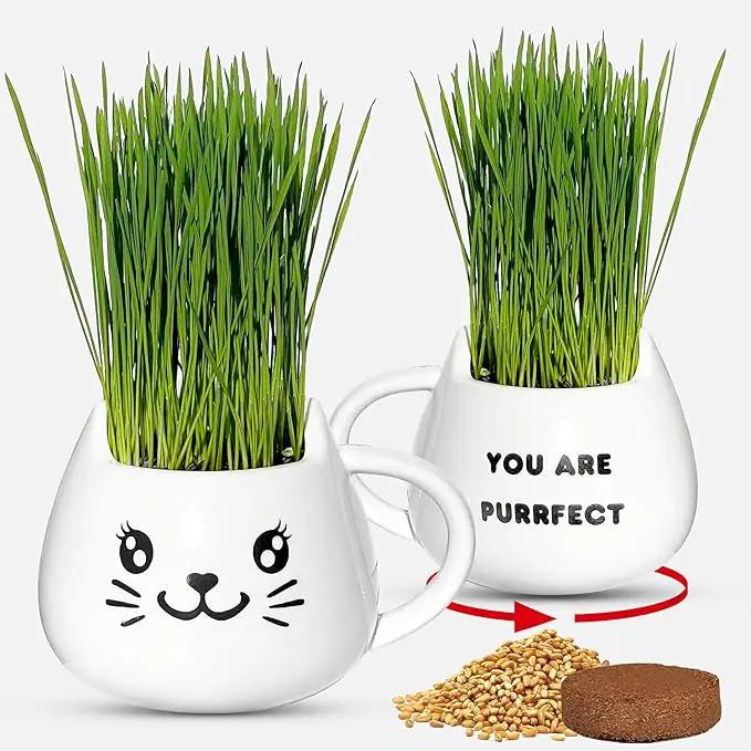 Organic Cat Grass Growing Kit - Promotes Natural Hairball Control and Digestive Wellness - Includes Organic Seed Mix, Nutrient-Rich Soil, and Stylish White Cat Planter by GreenHaven Gardens