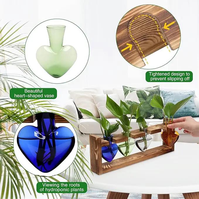 Plant Propagation Stations Heart Plant Terrarium Kit Gift for Women Plant Lover Glass Vases by GreenHaven Gardens