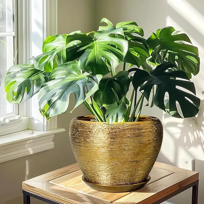 Ceramic Planter 10 Inch - Indoor Plant Pot with Drainage Hole and Saucer Large Decorative Planter Mid-Century Modern Flower Pot Outdoor for Home Decor Gold by GreenHaven Gardens