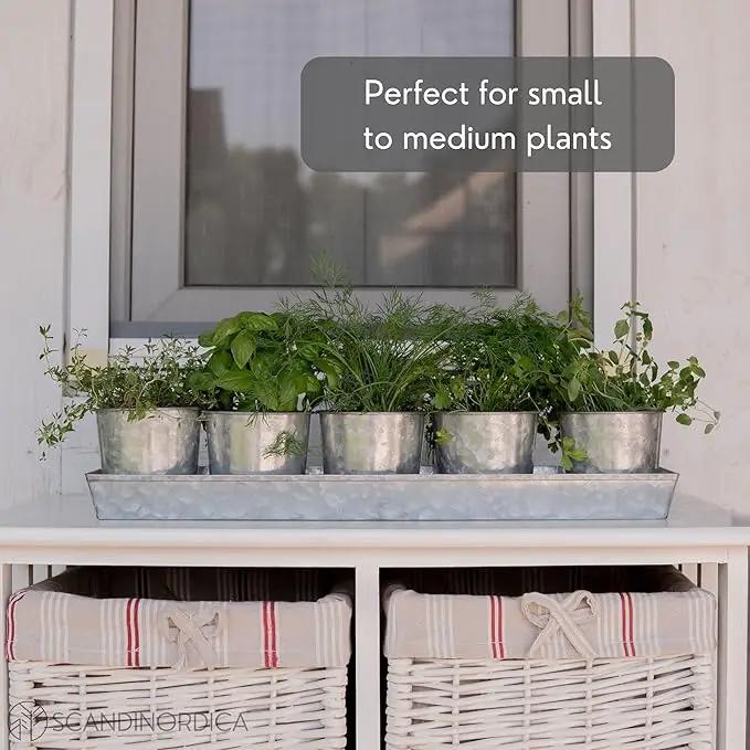 SCANDINORDICA Galvanized Metal Herb Planter, 5 Pots with Drainage Holes, Indoor Outdoor Use, Farmhouse Decor, 19.5x3.9x3.5 inches by GreenHaven Gardens