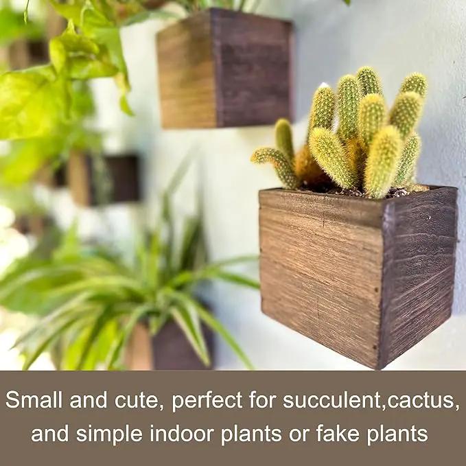 LaLaGreen Wood Planter Boxes for Plants (8 Pack, 4x4 Inch) Small Square Wall Mounted Planters for Indoor Plant, Herb Wooden Box Hanging Flower Pot Plant Holder Outdoor Fence Vertical Garden Home Decor by GreenHaven Gardens