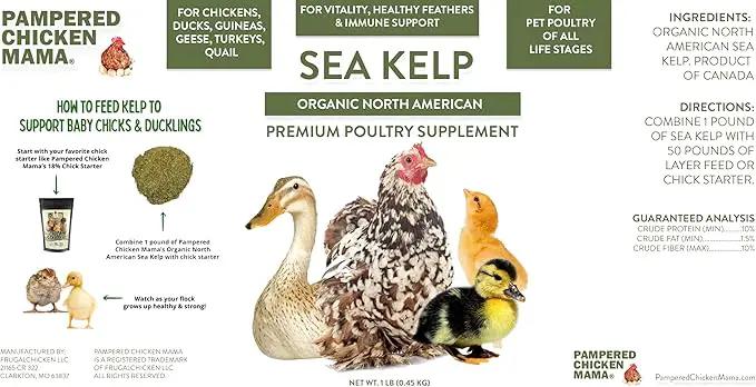 Organic Kelp for Chickens & Duck Feed (1 Pound): Chicken Vitamins | Chicken Supplements | Vitamins for Chickens | Pampered Chicken Mama by GreenHaven Gardens