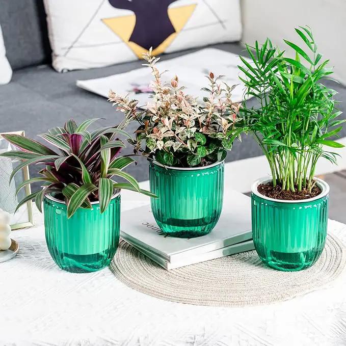 4.5 Inch 2 Pcs Self Watering Hanging Planter Indoor Plant Pots Drainage Holes, Outdoor Small Hanging Planters Flower Pot Basket, Visible Water Level, Plant Hanger Home Decor, Gardening by GreenHaven Gardens