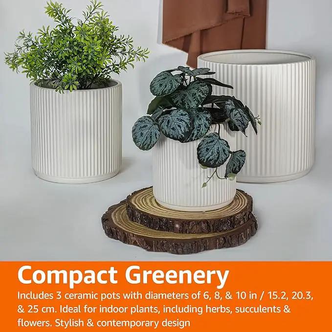 Amazon Basics Assorted Sizes Fluted Ceramic Round Indoor Outdoor Planters with Drainage, Set of 3, Modern Design, 6 inch, 8 inch, 10 inch, White by GreenHaven Gardens