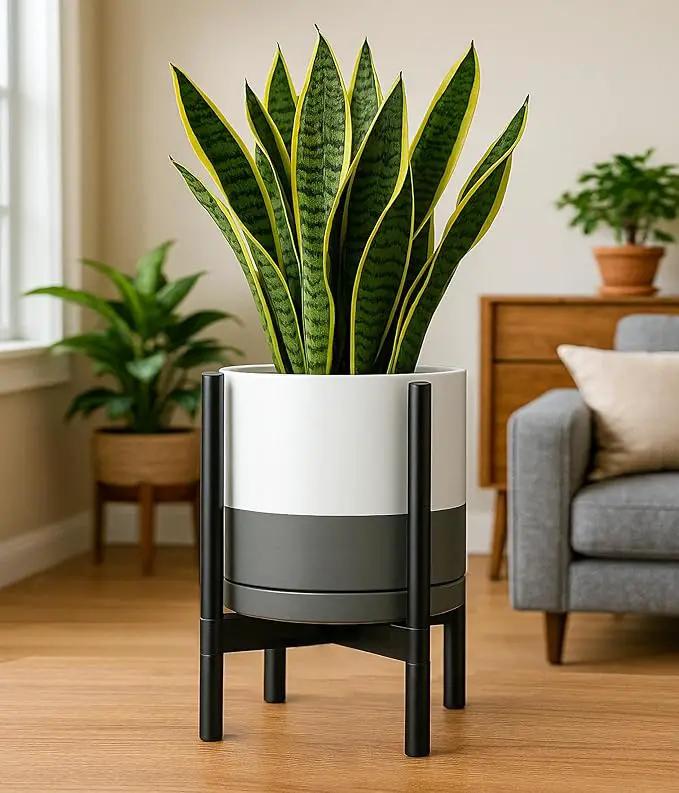D'vine Dev Ceramic Planter with Ebony Stand - 12 Inch Modern Round Flower Pot with Wood Planter Holder, White/Grey, 55-B-H-6 by GreenHaven Gardens