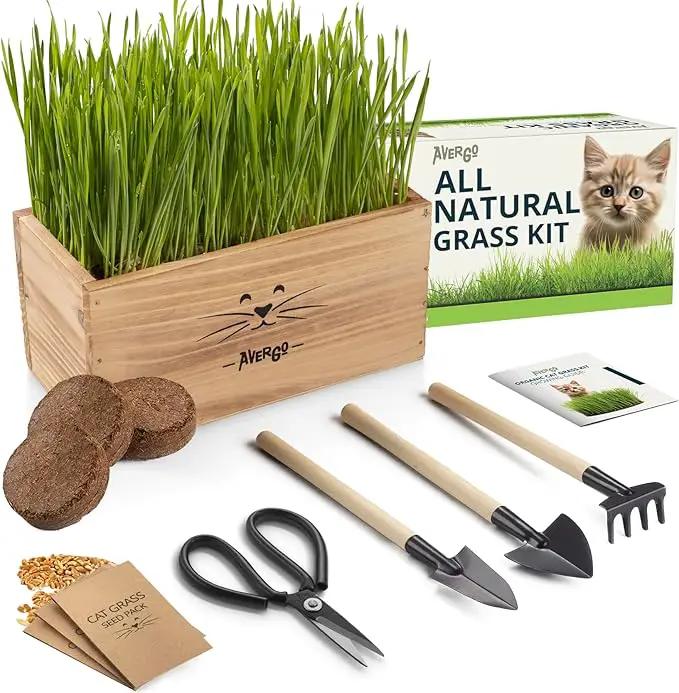 Cat Grass Kit for Indoor Cats – x4 Seed Packets | Cat Grass Seeds with Wooden Planter, Soil & Mini Gardening Tools for Nipping – Pet-Safe Wheatgrass Grass by GreenHaven Gardens