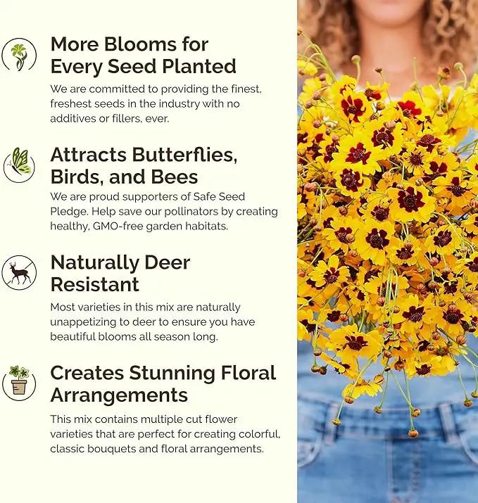 Eden Brothers Country Garden Flower Mixed Seeds for Planting, 5 lb, 2,400,000+ Seeds with Scarlet Flax, Cosmos Sensation | Attracts Pollinators, Plant in Spring or Fall, Zones 3, 4, 5, 6, 7, 8, 9, 10 by GreenHaven Gardens