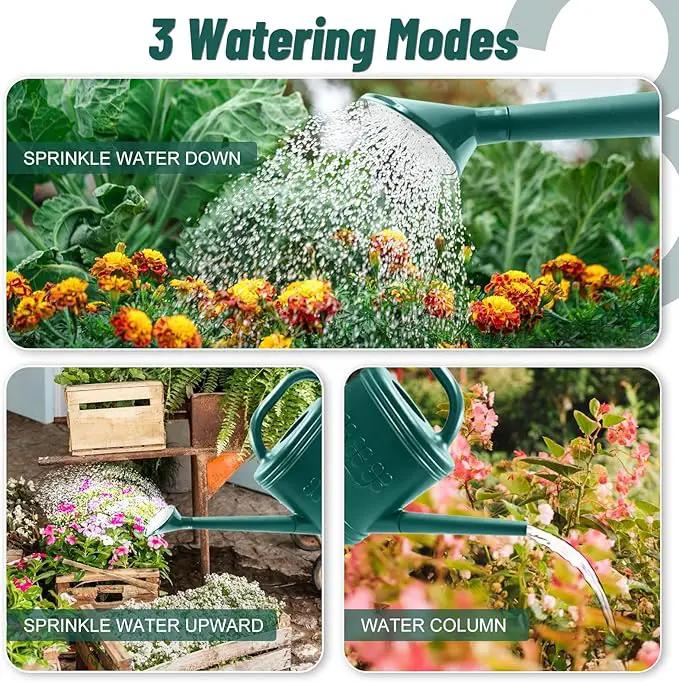 2 Gallon Watering Can, Outdoor Watering Can for Plants, Garden Water Can with Removable Long Spout and Stainless Steel Sprinkler Head, Large Water Can for Greenhouse (Dark Green, 2 Gallon) by GreenHaven Gardens