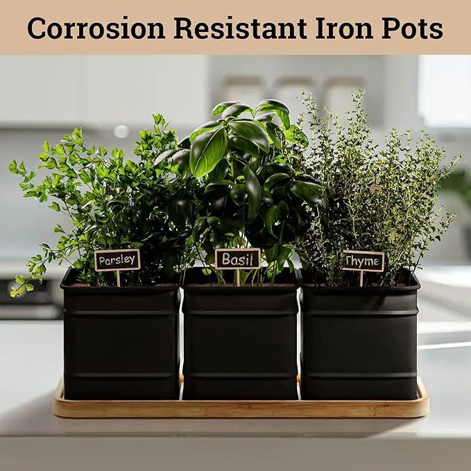 Herb Planter Indoor - 3 Iron Herb Pots with Drainage Holes, Varnished Bamboo Tray, Customizable Labels & Marker Pen - Indoor Herb Garden Planter - 3 Pots for Herbs - Inside Spice Garden - Basil Pot by GreenHaven Gardens