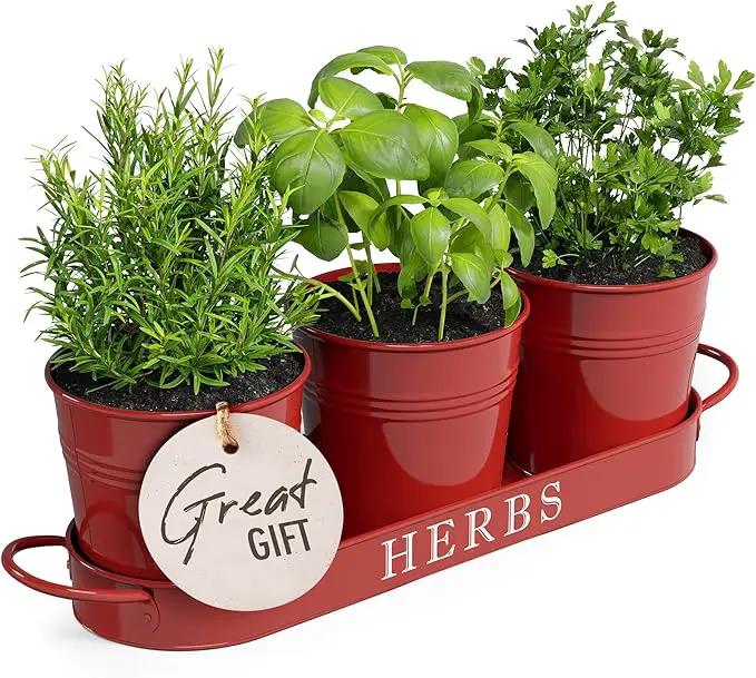 Barnyard Designs Indoor Herb Garden Planter Set with Tray, Metal Windowsill Plant Pots with Drainage for Outdoor or Indoor Plants, Set/3 (Brick Red) by GreenHaven Gardens