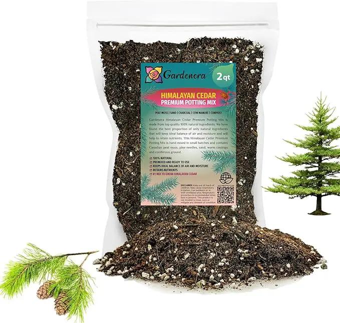 Premium Himalayan Cedar Potting Soil Mix - Perfect Balance of Nutrients, Drainage, and Aeration for Healthy Cedar Trees - 2 Quart by GreenHaven Gardens