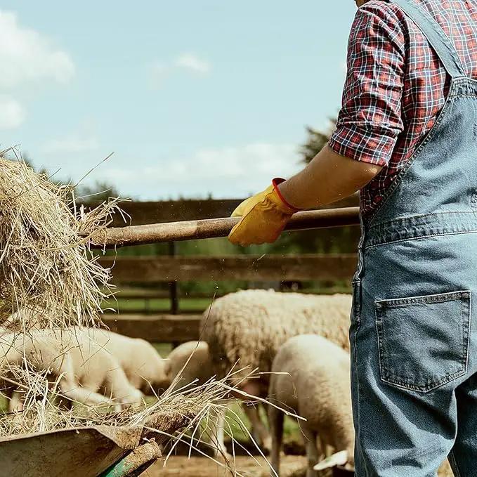 OZERO Leather Work Gloves Flex Grip Tough Cowhide Gardening Glove for Wood Cutting/Construction/Truck Driving/Garden/Yard Working for Men and Women 1 Pair (Gold,X-Large) by GreenHaven Gardens