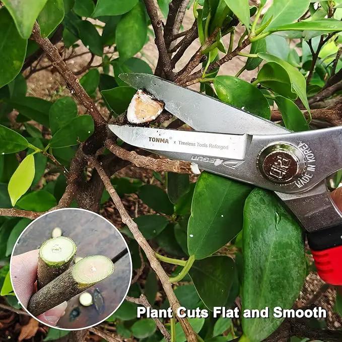 TONMA Pruning Scissors [Made in Korea] 7.5" Rugged yet Lightweight Pruning Shears for Gardening with Ergonomics Grip, Japanese Craft Hard Chrome Plated Sharp Stainless Steels Garden Snips by GreenHaven Gardens