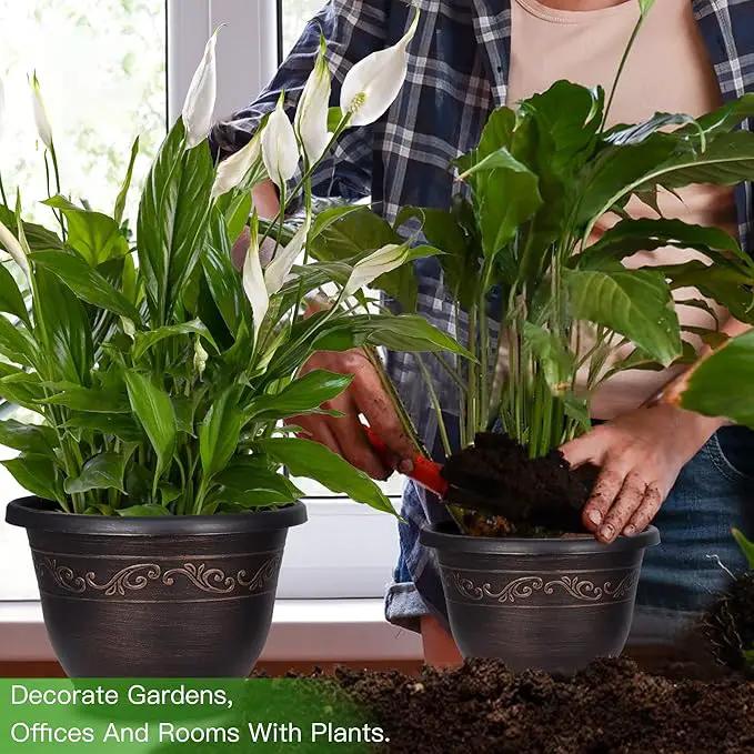 Plastic-Plant-Flower-Planters-8 Inch with Drainage Hole & Saucer, 6 Packs Lightweight Small Resin Flower Pot Indoor Outdoor, Retro Antique Imitation Decorative Garden Containers Sets for Houseplants by GreenHaven Gardens