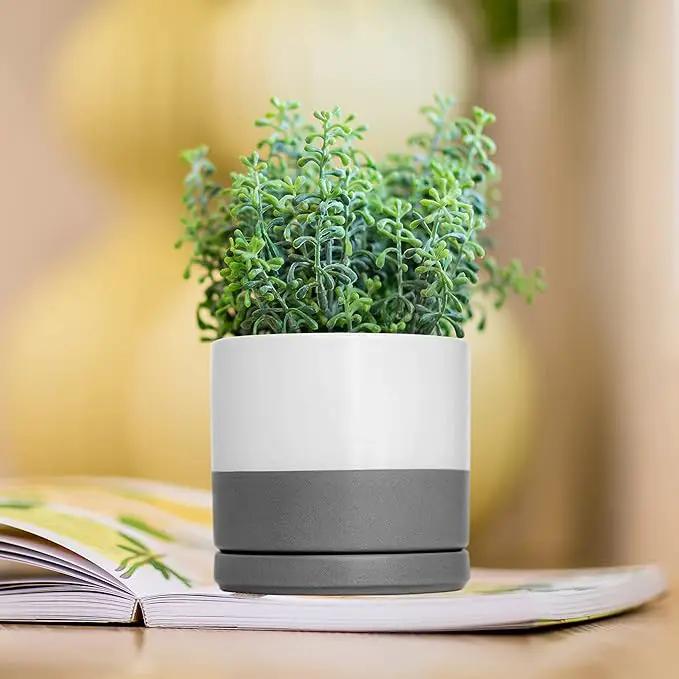D'vine Dev Set of 4 Small Ceramic Plant Pots, 4.6 Inch Succulent Planter Pot for Plants with Drainage Hole and Saucer, White/Speckled Grey, 94-X-B-6 by GreenHaven Gardens