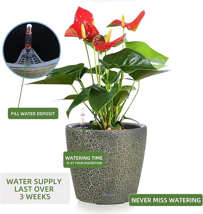 Dexceder 11x10 Inches Self Watering Planter Indoor Outdoor, Inner Pot Design, Thickened Table Flower Plant Pot with Water Level Indicator (Black Gold Crackle) by GreenHaven Gardens