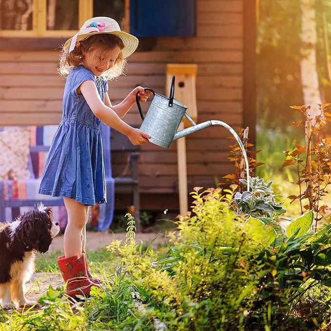 Galvanized Watering Can for Outdoor Indoor Plants, 1 Gallon Decorative Countryside Style Water Can with Removable Spout, Perfect Metal Watering Can for Indoor Plants and Garden Flower by GreenHaven Gardens