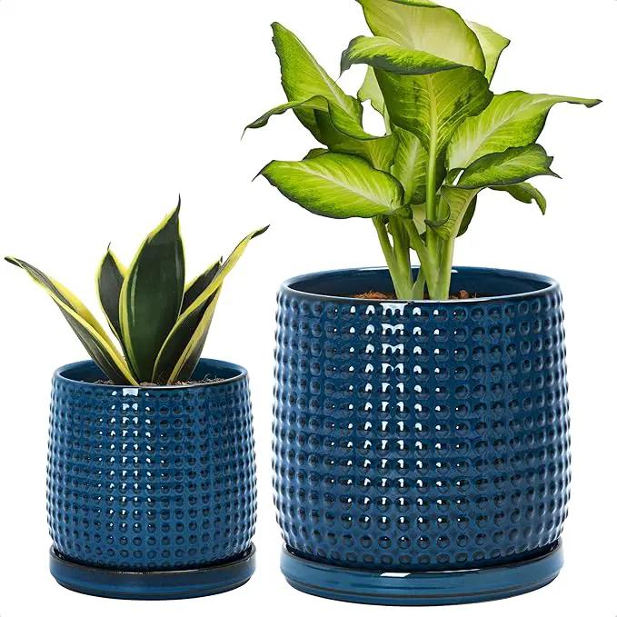 D'vine Dev 6 Inch 4 Inch Ceramic Indoor Planter Pots with Drainage Hole and Saucer, Beaded Design Flower Pots, Set of 2, Blue, 27-D-U-3 by GreenHaven Gardens