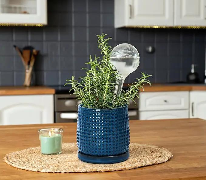 D'vine Dev Set of 2 Ceramic Plants Pots, 4 Inch Beaded Stoneware Flower Pot for Plants with Drainage Hole and Saucer, Midnight Blue, 27-E-Z-3 by GreenHaven Gardens
