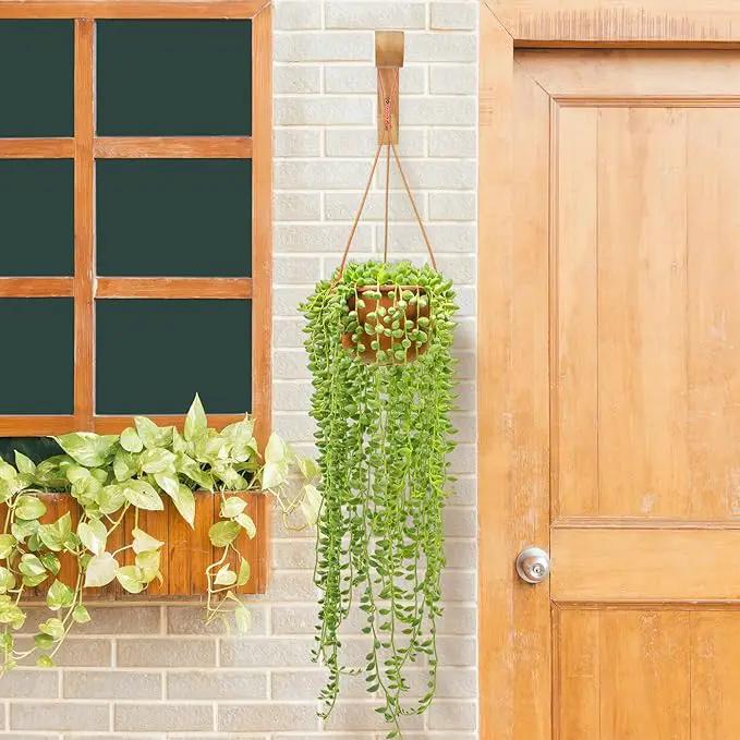 FGSAEOR Plant Hangers Outdoor, Hanging Plant Hooks for Indoors, Wave-Shaped Wooden Hanging Baskets for Wall Plant Hooks Heavy Duty for Flower Pots Wind Chimes and Bird Feeders (2-Pack, 6.8-Inch) by GreenHaven Gardens