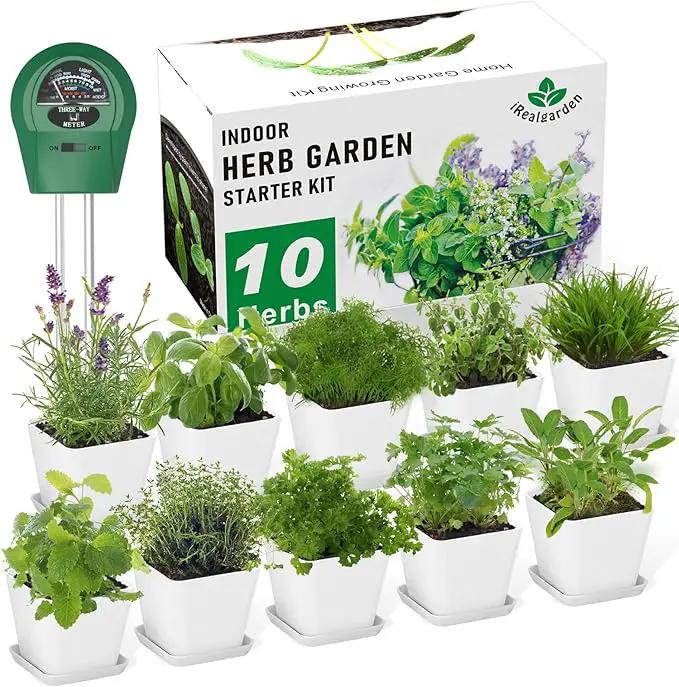 Herb Garden Kit Indoor Herb Garden Starter Kit - 10 Variety Herbs Kitchen Window Herb Garden Planter Indoor & Outdoor Growing Kit for Windowsill Countertop - Unique Gardening Gift for Women Men by GreenHaven Gardens