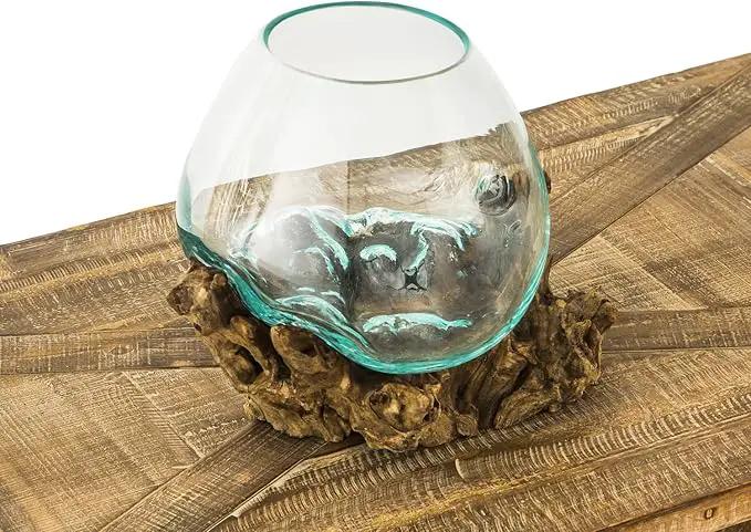 Cape Craftsmen 10" H Hand-Blown Blue Tinted Bubble Glass On Natural Teak Driftwood Terrarium | Home Décor Indoor Planter with Stand | Pot for Succulent and Plants by GreenHaven Gardens