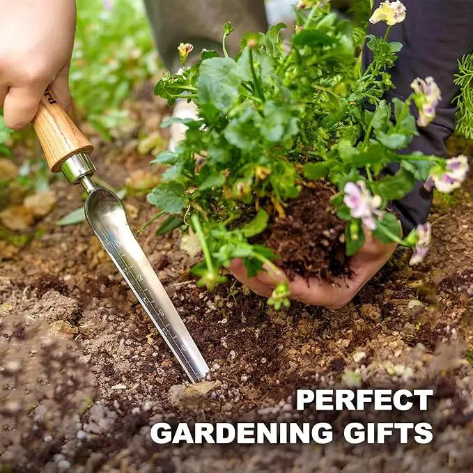 Berry&Bird Seeding Widger,Stainless Steel Seed Dibber Tool with Measuring Scale,Wooden Handle Garden Bulb Trowel for Seed Planting Tool Hand Shovel Planter Transplanter Dibber Soil Digginng by GreenHaven Gardens