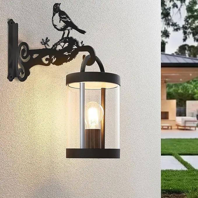 2-Pack Aesthetic Wall Plant Hanger Indoor and Outdoor – 10 Inch Metal Hanging Plant Bracket with Beautiful Bird Pattern – Anti Rust Plant Hooks for Hanging Plants, Bird Feeder, Wind Chime, Lantern by GreenHaven Gardens