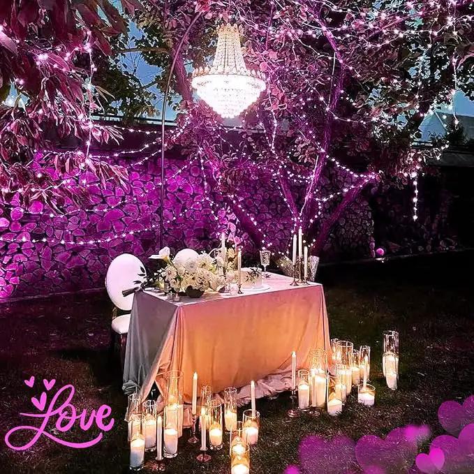 JMEXSUSS 2 Pack Solar Fairy Lights, 33ft 100 LED Pink Outdoor Waterproof, 8 Modes String Lights for Outside Garden Patio Party Decorations by GreenHaven Gardens