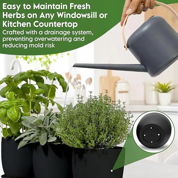 Indoor Garden Kit - Plant Pots with Drainage, Watering Can & Tools - Ideal Windowsill Planter Set - Modern Home & Kitchen Decor Gift - White by GreenHaven Gardens