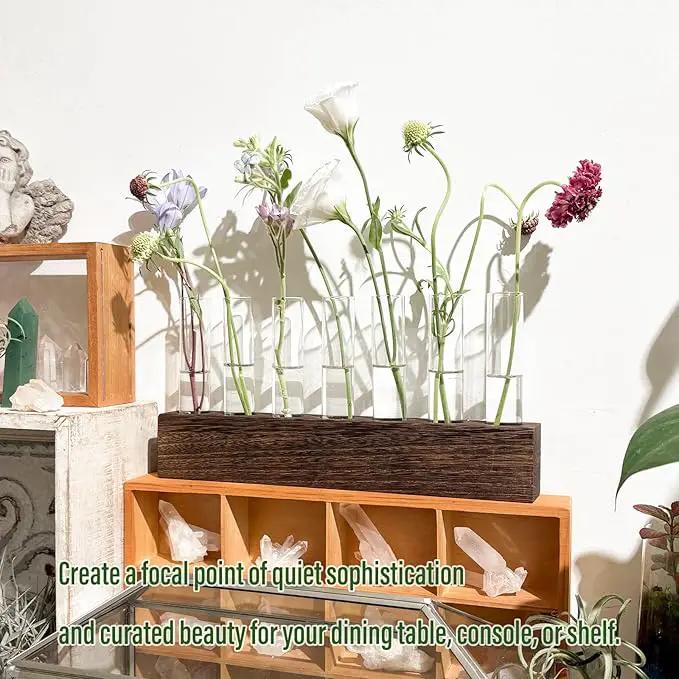 KAXYEW Desktop Glass Plant Propagation Station Test Tube Plant Terrarium in Wooden Stand for Hydroponic Plants Cutting Office Home Decoration by GreenHaven Gardens