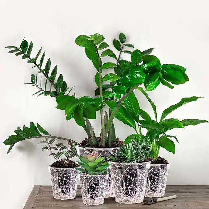 Vesici Large Size Clear Nursery Pots Variety Pack Plant Pots with Drainage Holes Planters for Indoor Plants Flexible Transparent Plastic Plant Bottle Succulents(6 Pcs,4/5/6/7/8/9 Inch) by GreenHaven Gardens