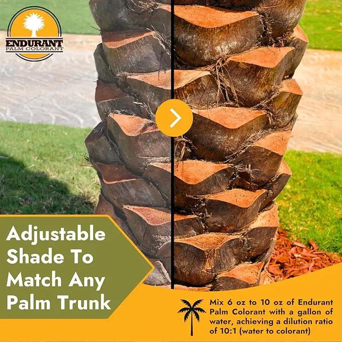 Endurant Palm Colorant – Non-Toxic Palm Tree Protector - Enhances Natural Beauty - Prevents Sunscald & Bark Damage -Easy Annual Application - Vibrant Long-Lasting Trunk Care - 32 oz by GreenHaven Gardens