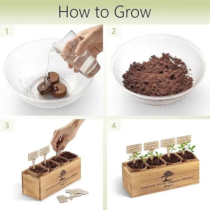 Bonsai Tree Kit – 4X Unique Japanese Bonzai Trees | Complete Indoor Starter Kit for Growing Bonsai Plants with Tools & Planters – Gardening Gifts for Women & Men by GreenHaven Gardens