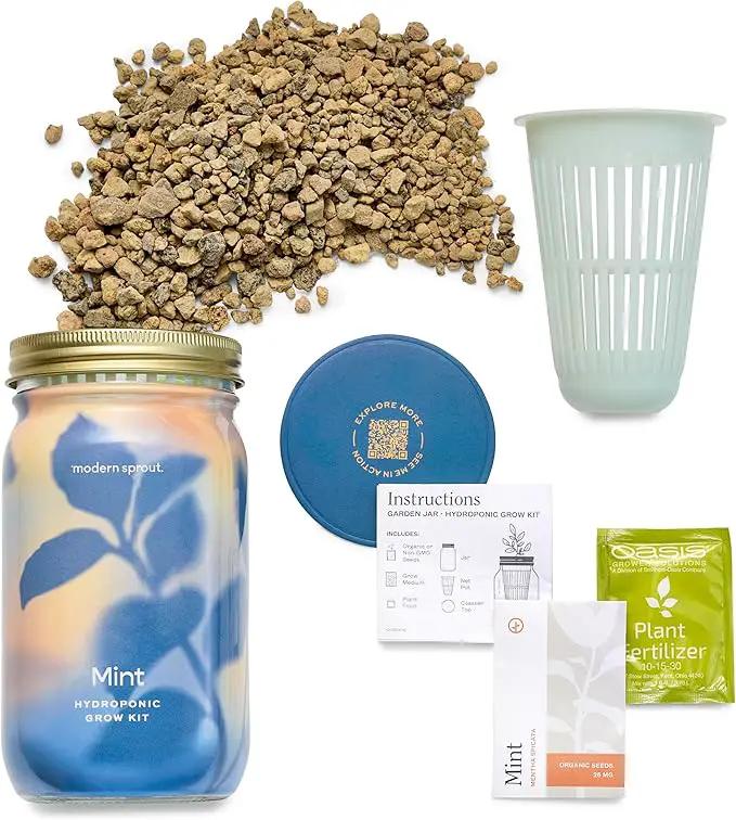 Modern Sprout Mason Garden Jar - Self-Watering Hydroponics Growing System Kit with Organic Herb Seeds - Jar Planter for Indoor Herb Garden - Seed Starter Kit - Home Decor & Gifting - Mint by GreenHaven Gardens