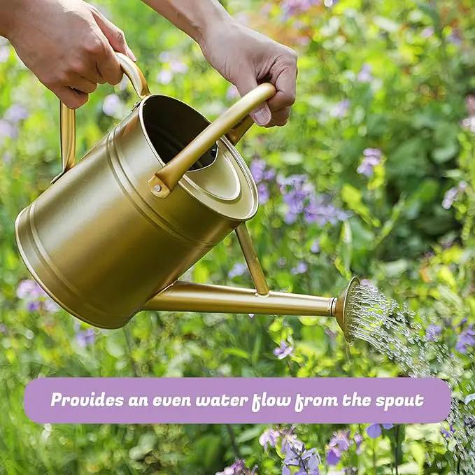 1 Gallon Watering Can for Plants, Watering Cans for Indoor&Outdoor Gardening, Galvanized Steel Watering Pot with Removable Spout, Metal Water Can with Ergonomic Movable Handle(Gold) by GreenHaven Gardens