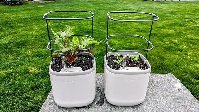 Vego garden Mini Planter Indoor Pots with Trellis Self-Watering Herb Countertop Planter for Climbing Vegetables Flowers Mint Plants Cage 2 Pack- Cream White by GreenHaven Gardens