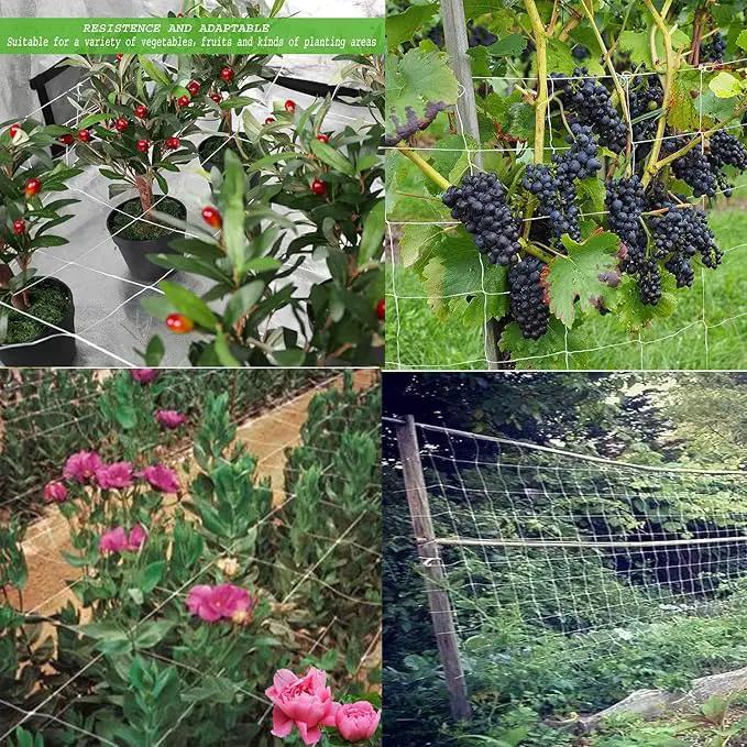 All-Weather Trellis Netting Mesh Plant Garden Vine Growing Flexible String Net (6" Mesh ployester, 5' Wx 15'L) by GreenHaven Gardens
