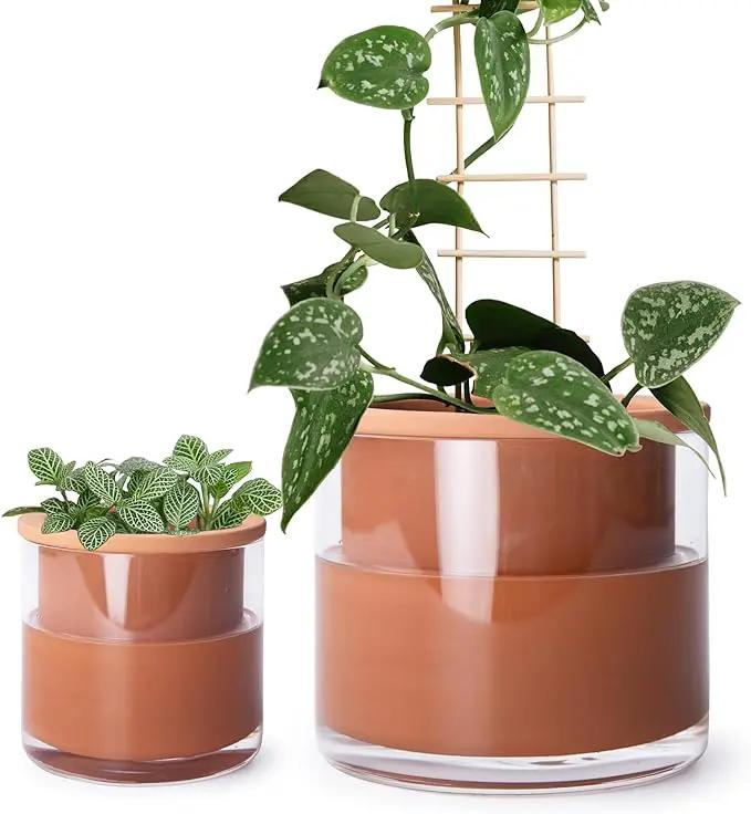 Phoenix Vine 4 Inch 6 Inch Self Watering Plants Pots, Design Terracotta Pots for Plants, Indoor Cylinder Terra Cotta Planter with Glass Vase Set, 51-A-G-46 by GreenHaven Gardens