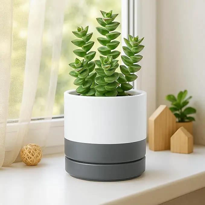 D'vine Dev 3.5 Inch & 4.7 Inch Ceramic Planter Pots for Plants with Drainage Hole and Saucer, X-Small Plant Pots Set, White/Speckled Grey, 94-G-XS-6 by GreenHaven Gardens