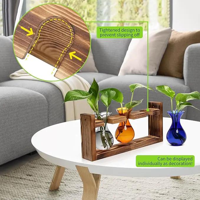 Plant Propagation Station Plant Terrarium Unique Birthday Gifts for Women Plant Lovers Home Office Decor Planter with Wooden Stand - 3 Bulb Glass Vase by GreenHaven Gardens