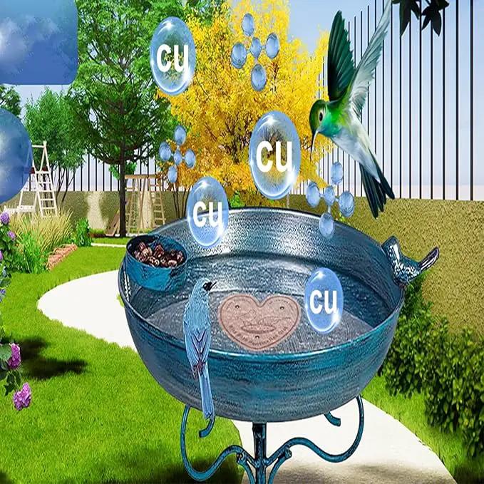 1-Pack 99.99% Pure Copper Bird Bath Purification Disk,Copper Disc with Stable Triple-Point Support,Fits All Outdoor Bird Baths(Heart-Shaped) by GreenHaven Gardens