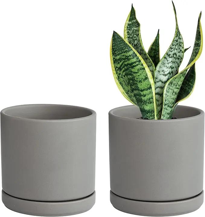 D'vine Dev Set of 2 Plants Pots, 6 Inch Ceramic Planter Pot for Plants with Drainage Hole and Saucer, Speckled Grey, 94-V-C-3 by GreenHaven Gardens