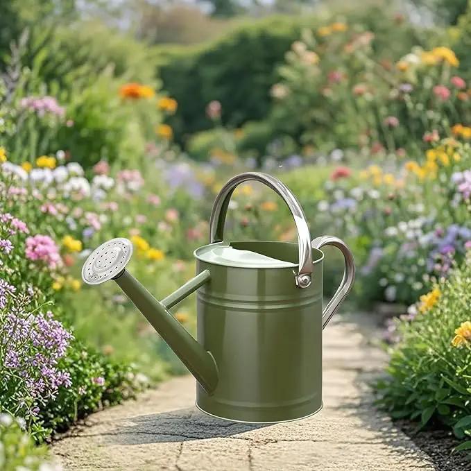 Metal Watering Can, One Gallon Watering Cans Stainless Steel for Outdoor Indoor Garden Plants Watering (Emerald Green) by GreenHaven Gardens