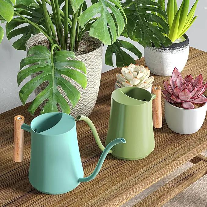 Watering Can Indoor Plants 35oz Sage Green Water Can Indoor Metal Small Water Can Pot with Long Spout for House Bonsai Plants Garden Flower Decorative by GreenHaven Gardens