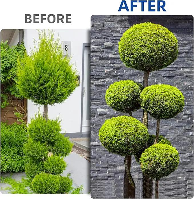 Hedge Shears Heavy Duty Hedge Clippers with Shock Absorbing Bumpers Ideal Hedge Clippers for Gardening Pruning Shaping Shrubs and Decorative Plants Garden Hedge Shears for Effortless Trimming by GreenHaven Gardens