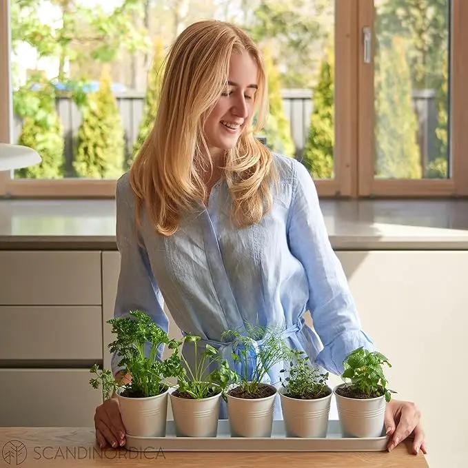SCANDINORDICA White Herb Planter 5 Pots with Drainage Holes and Tray, Windowsill Planter, Indoor/Outdoor Herb Pots by GreenHaven Gardens